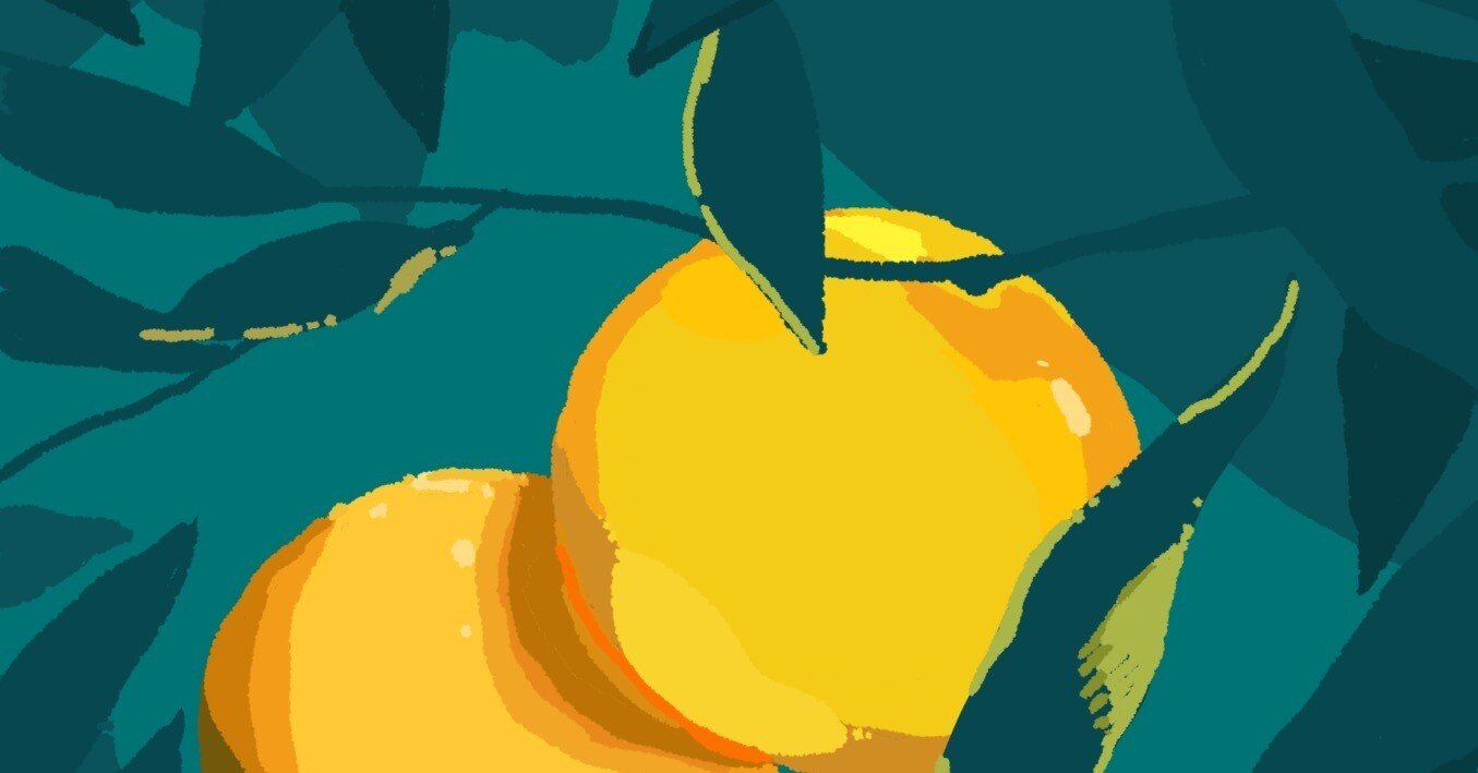 891/抽象画風/柑橘類/F10号 柑橘（雑記）｜空想の空き地（たけなが）