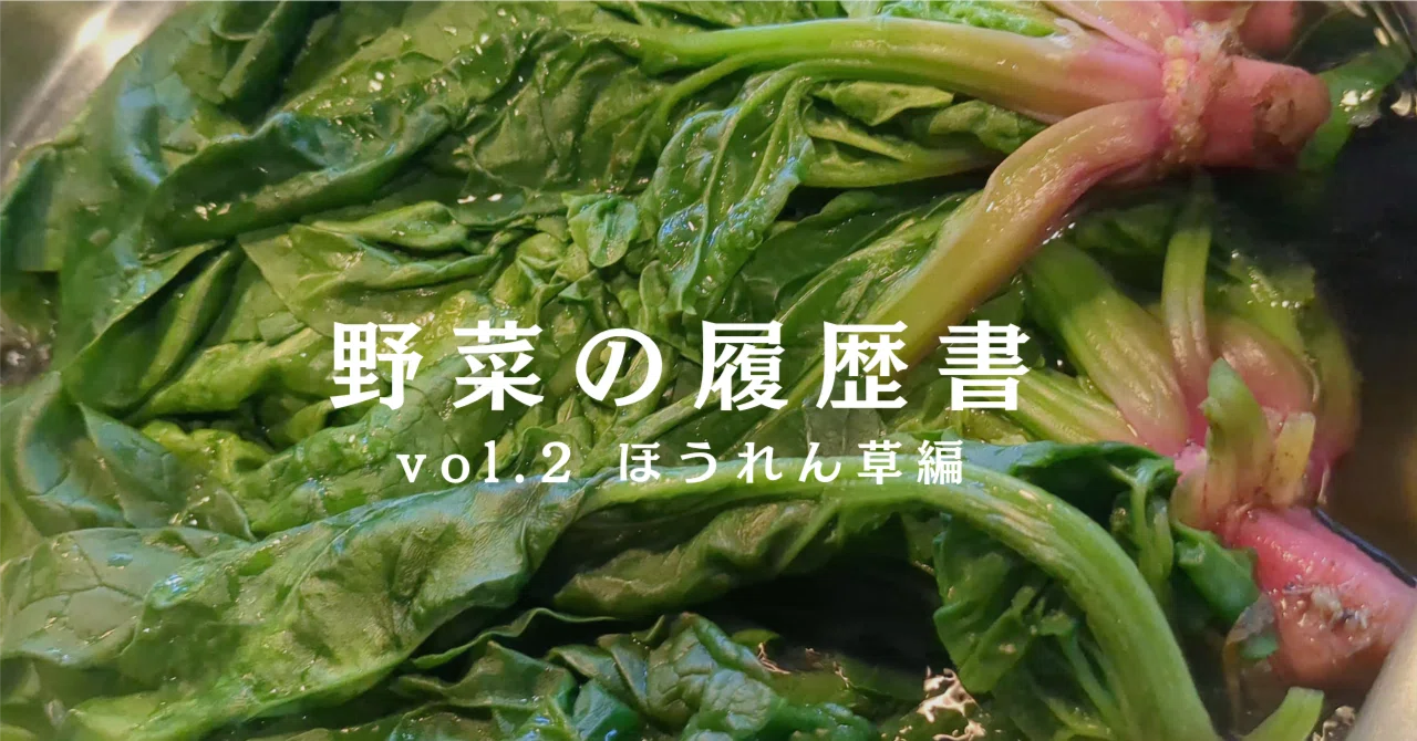 あなたの冷蔵庫にいるほうれん草の正体｜【野菜の履歴書】ほうれん草編 