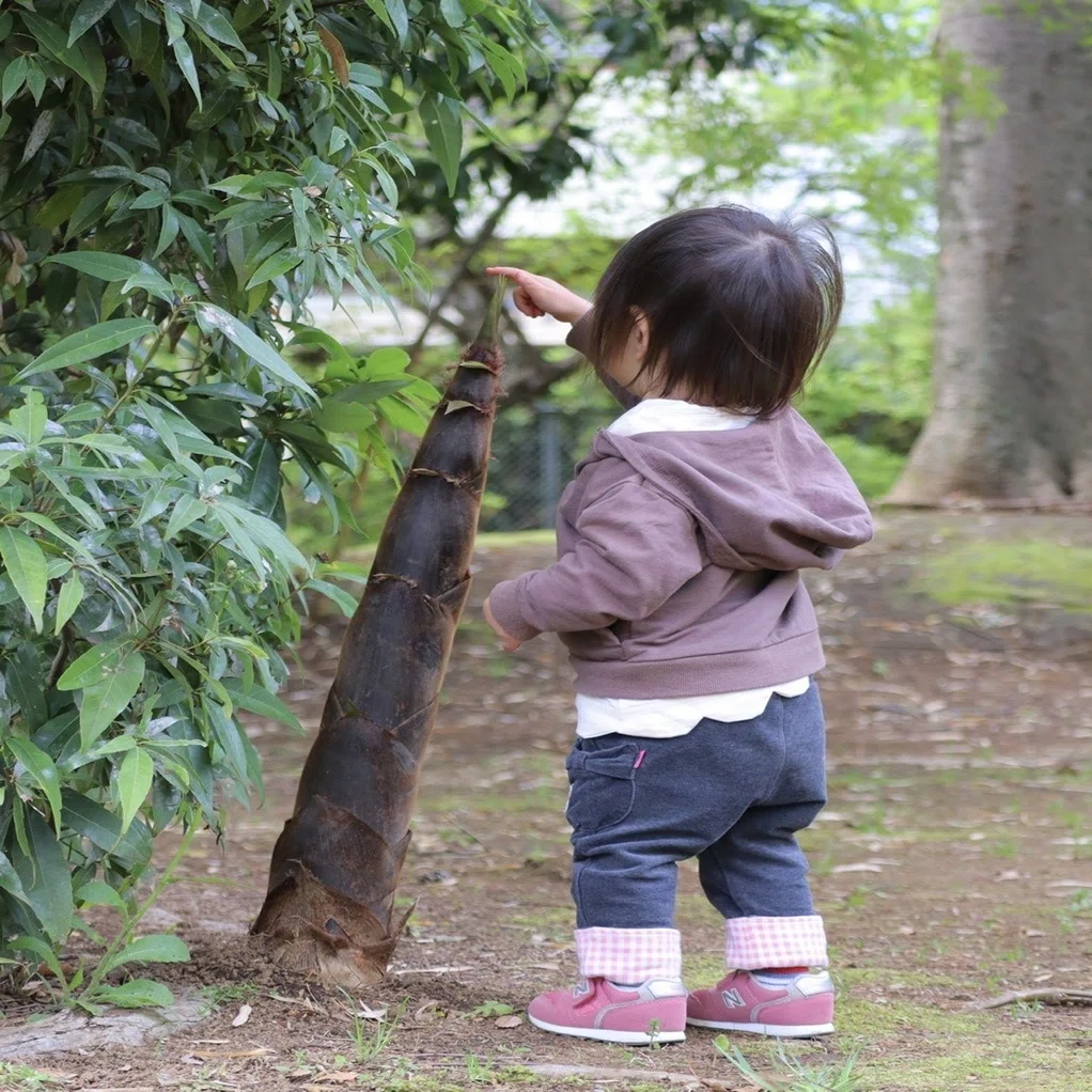 竹の子の成長スピードが早すぎた 上田初美 Ueda3 Note