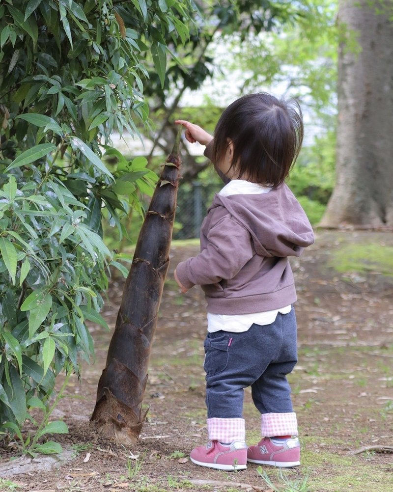 竹の子の成長スピードが早すぎた 上田初美 Ueda3 Note 竹の子の成長スピードが早すぎた 上田初美 Ueda3 Note