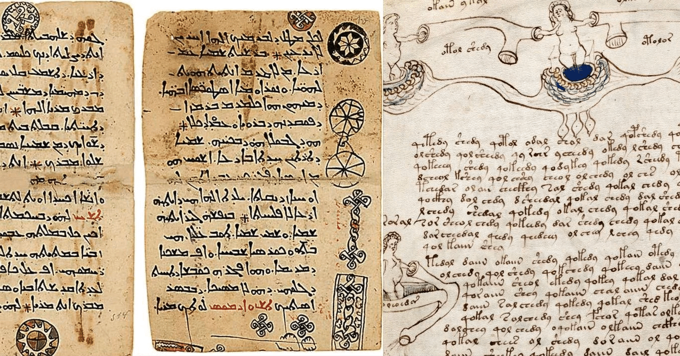 世界の面白い言語集 17 600年も未解読 ~ヴォイニッチ手稿の言語（Voynichese）｜Tai