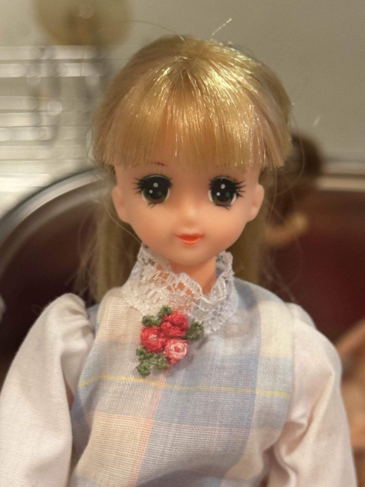 トミーのサイクリングナナちゃんをお迎えした話｜citronnia