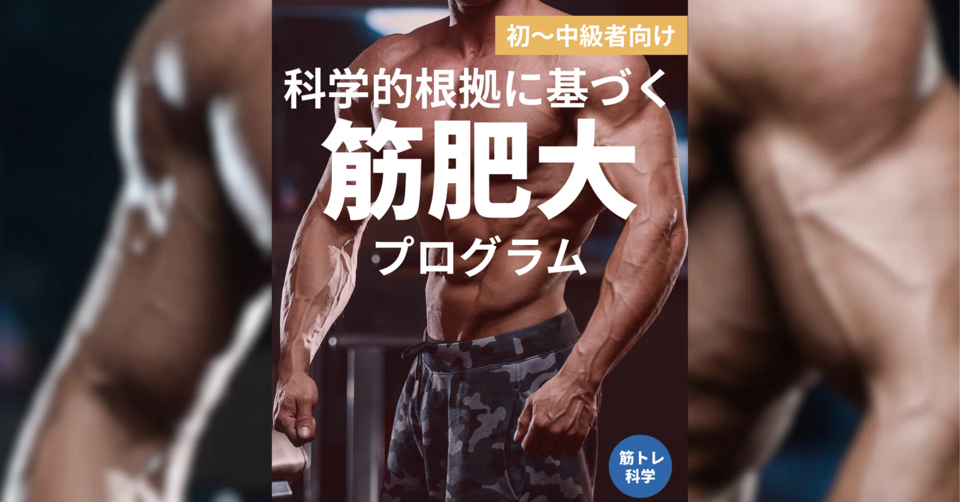 初～中級者向け】科学的根拠に基づく筋肥大・増量プログラム 3.0｜筋