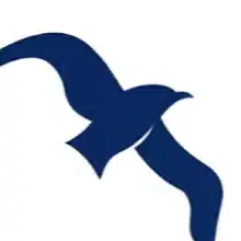  k_bird｜Branding Strategist｜ASAKO