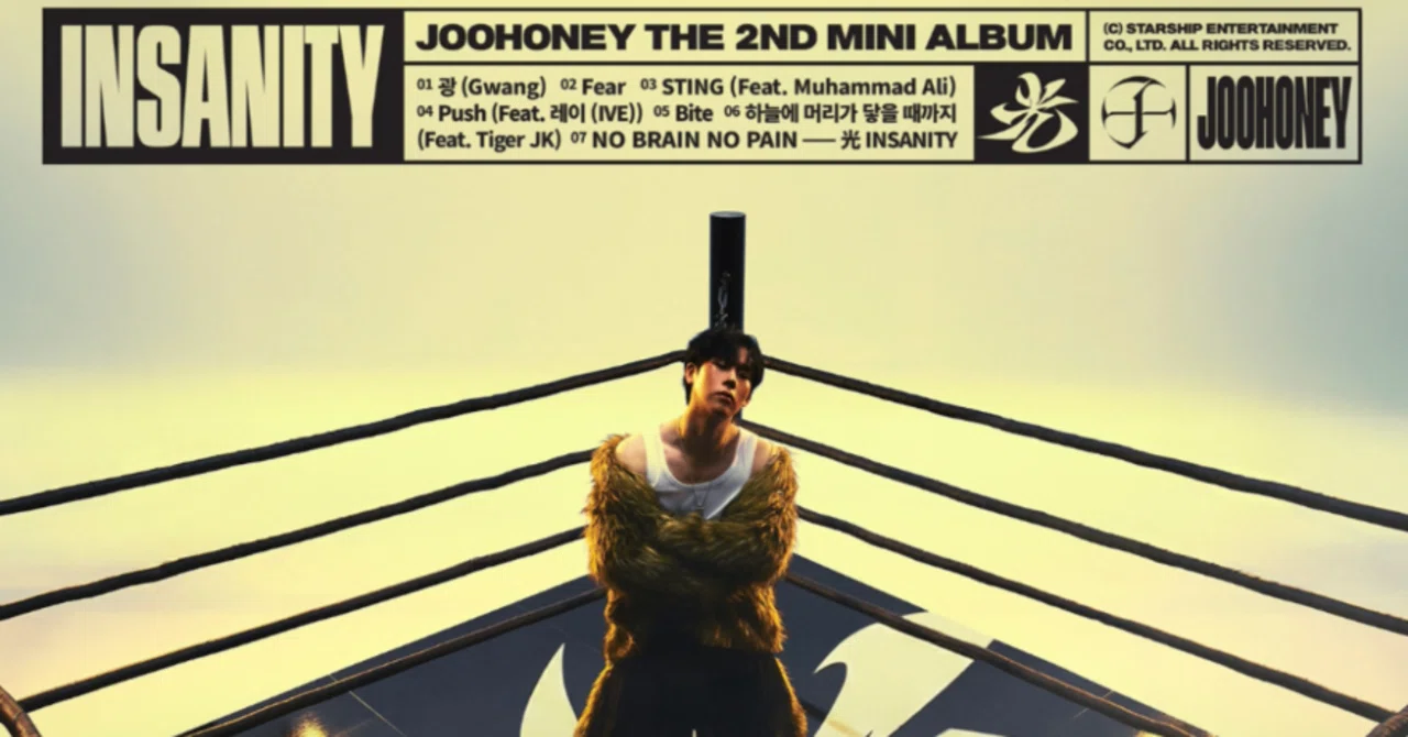 和訳】MONSTA X 주헌(JOOHONEY) - STING (Feat. Muhammad Ali)｜beberi*