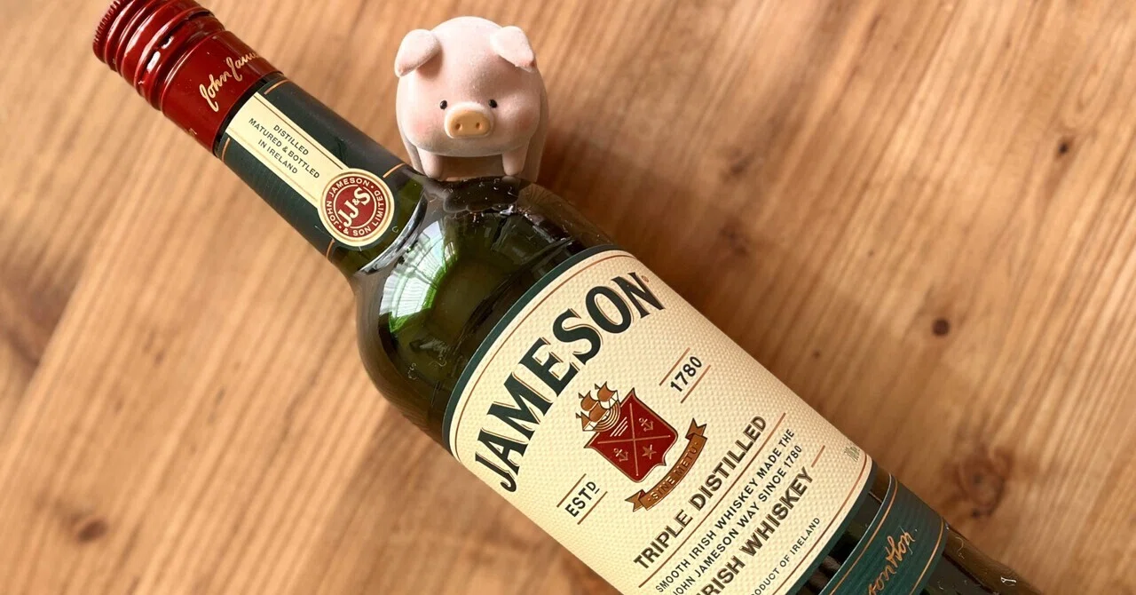 🇮🇪 [Irish Coffee] Created to Soothe Human Cold and Fatigue｜豚