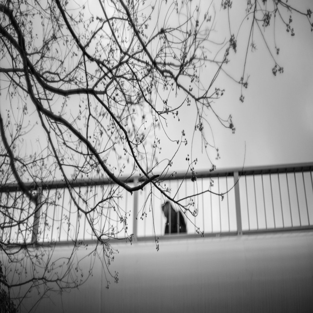 LIGHT LENS LAB M 50mm f/1.5 Z21その2｜T.Reds Ikeura