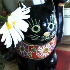 こーしぃ