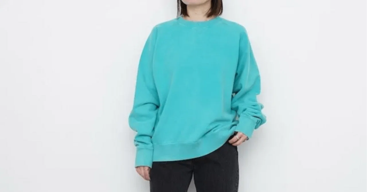 トップス Shinzone 26ss GARMENT DYED SWEATSHIRT シンゾーン THE SHINZONE ガーメントダイ スウェットシャツ レディース