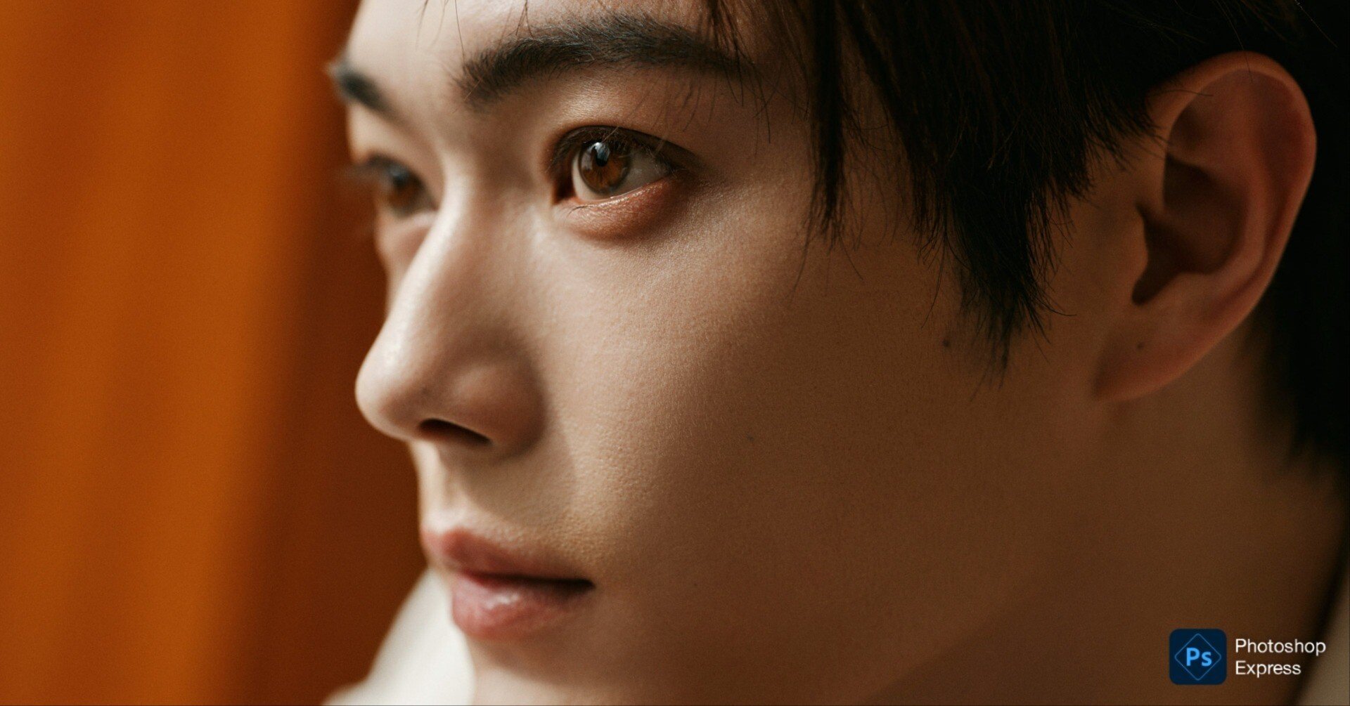 3/2更新□2026年许凯(シュー・カイ)最新情報｜akanesato7