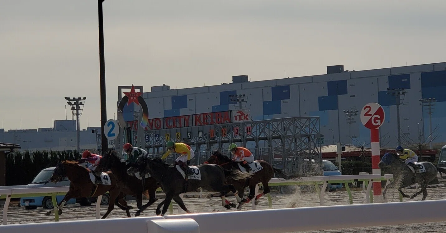 地方競馬　大井競馬のあゆみ 東京シティ競馬(大井競馬場)の観光ガイド (東京都品川区勝島2-1-2