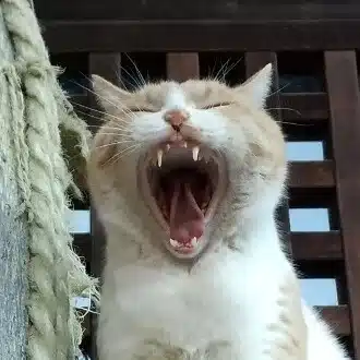 おつかれ母さん