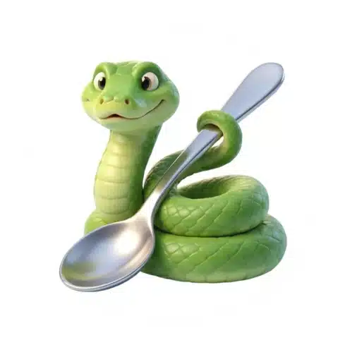 Spoon