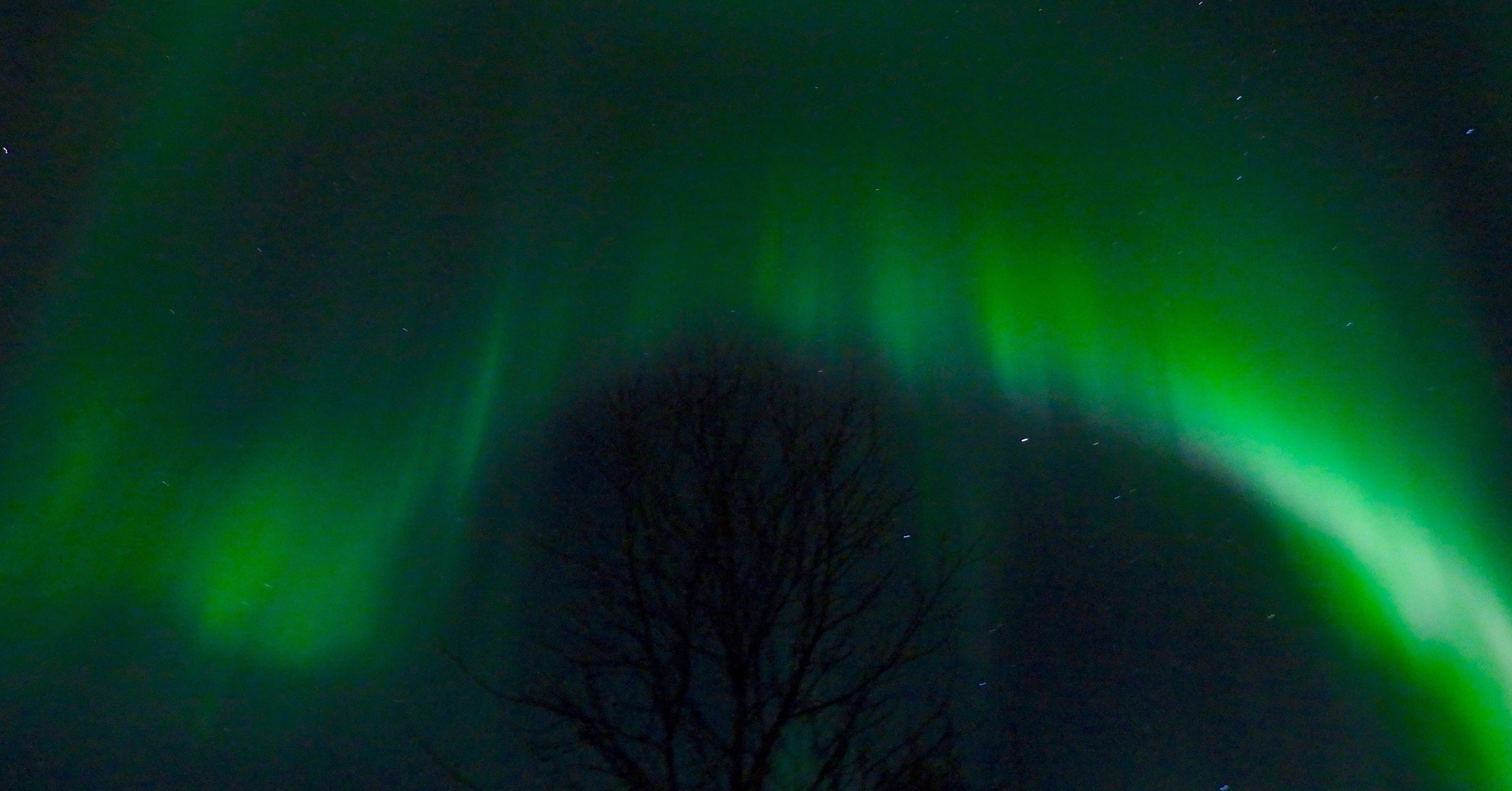 いつかオーロラを見たいあなたへ。｜発酵旅人
