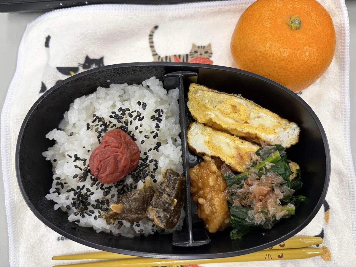 2026/1/13～1/17のお弁当＆昼食記録｜安部忍