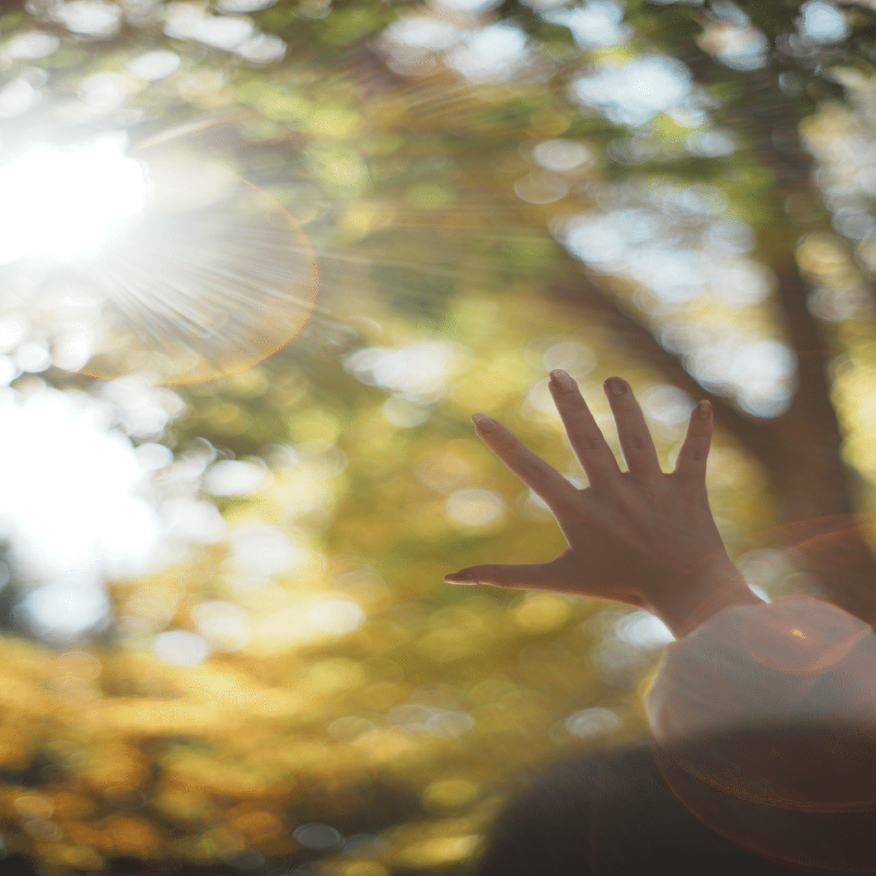 オールドレンズで撮るポートレート【PENTAX SUPER-TAKUMAR 55mm F1.8
