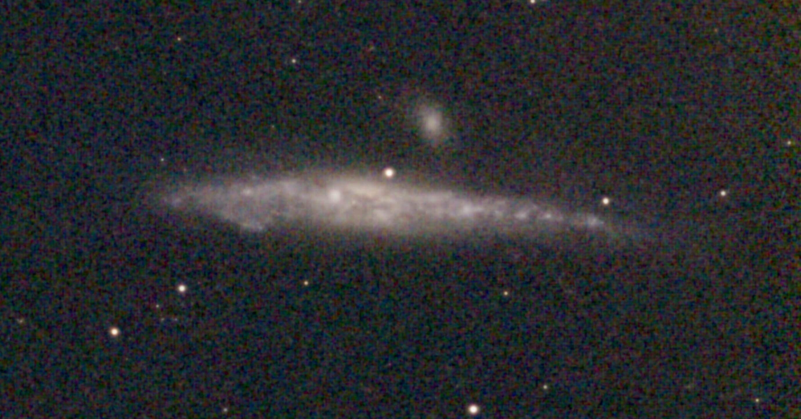 くじら銀河（SeestarS50 06）｜ゴンカネ5