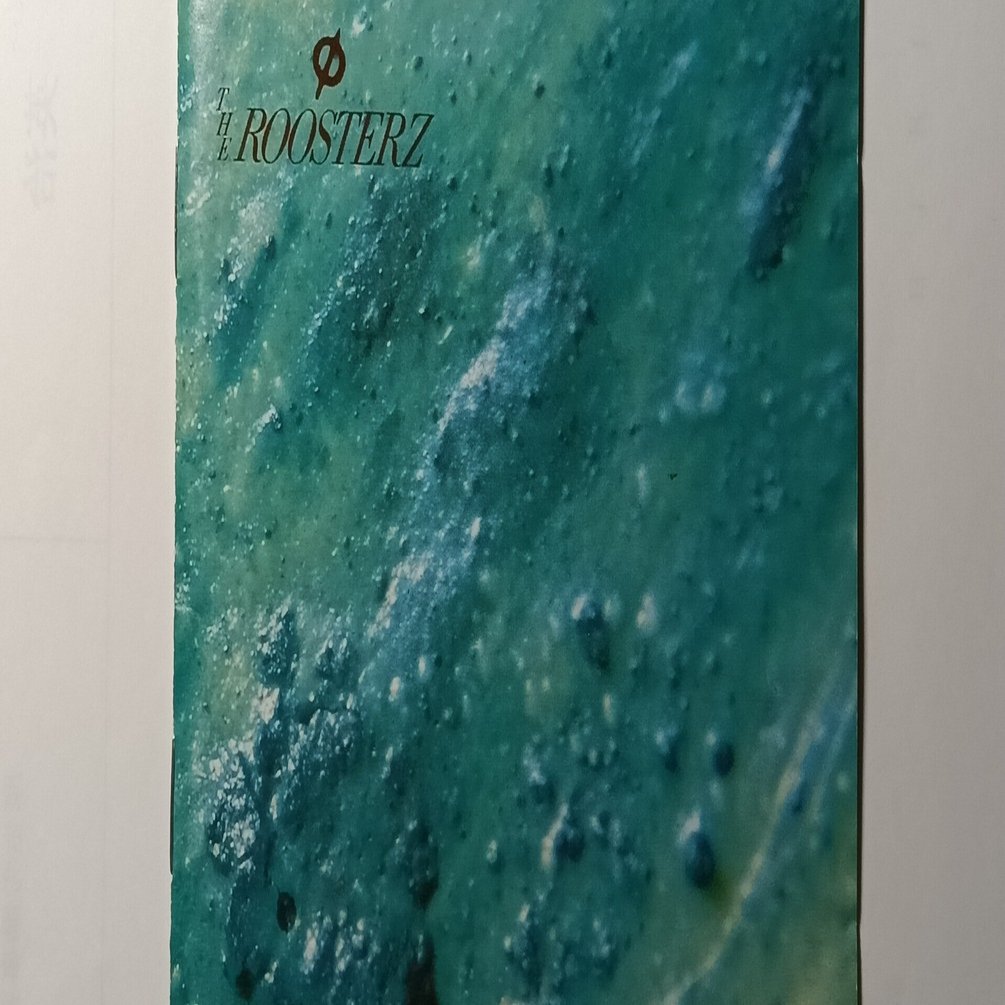 あなたがここにいてほしい THE ROOSTERZ｜パイカルJr.