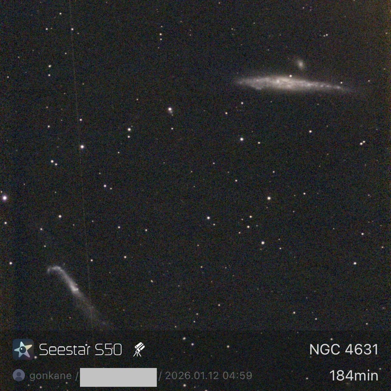 くじら銀河（SeestarS50 06）｜ゴンカネ5