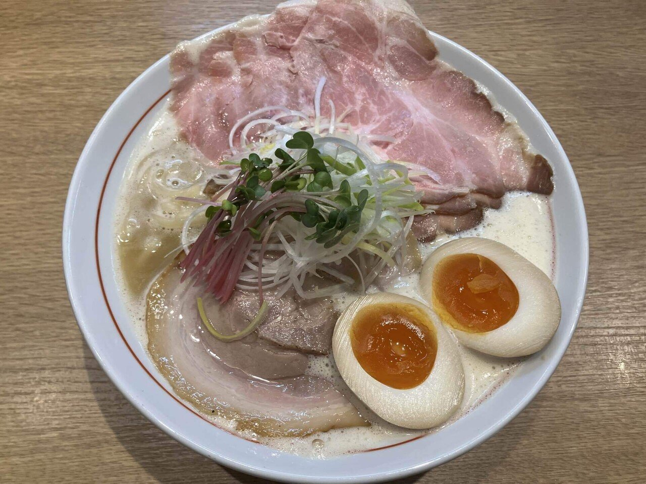 月刊かめちゃん 2026年1月号｜かめちゃん