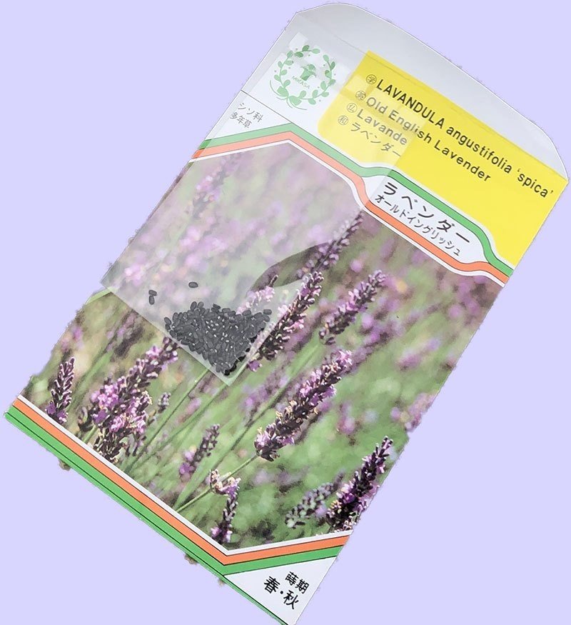 ラベンダーを育てる てら Note ラベンダーを育てる てら Note