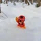 グラハムボネ之助