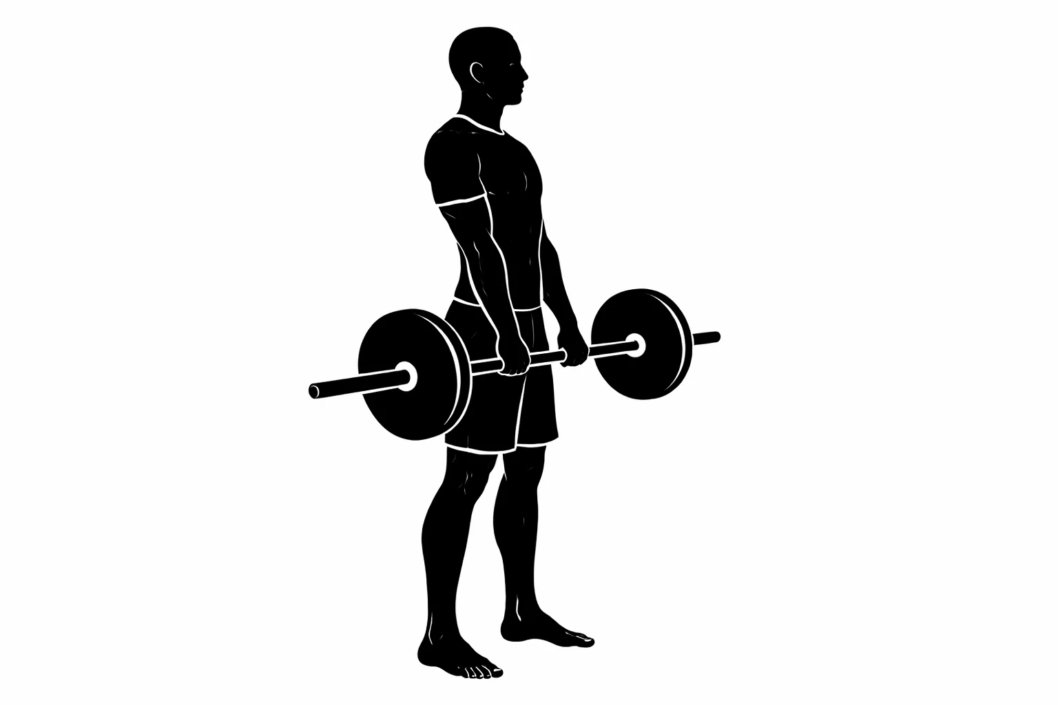 Strength Improvement/Hypertrophy] Back (General Back) Topside