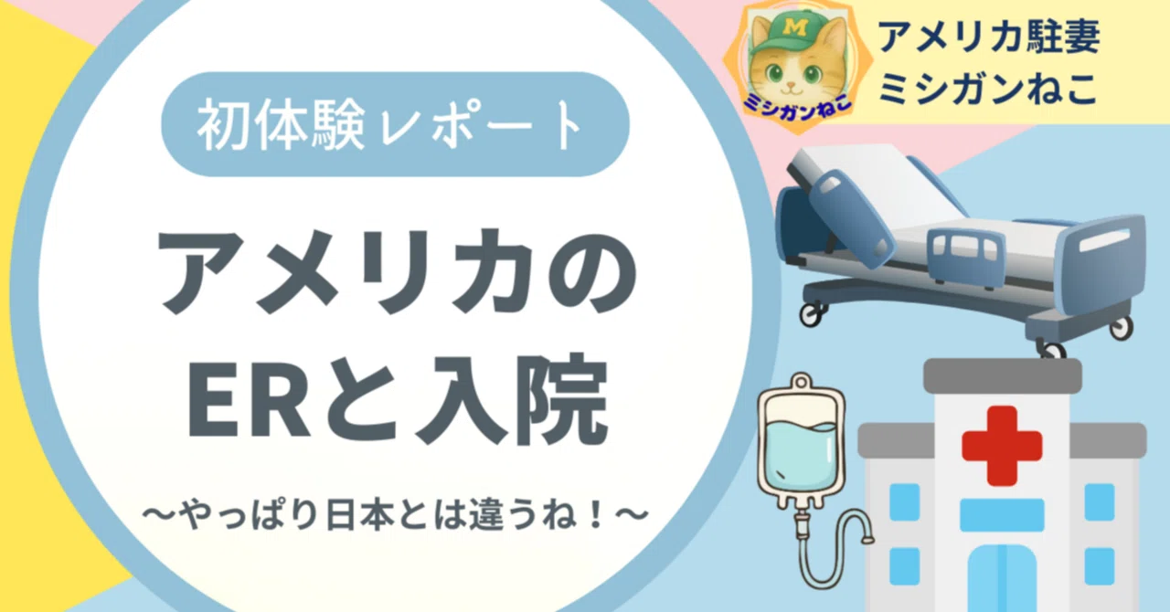 虫垂炎 手術 後 の 生活