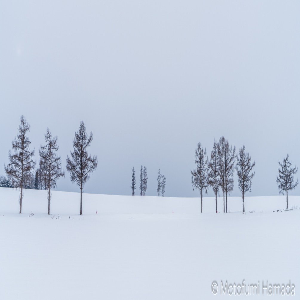 モノトーンの風景に魅せられて｜浜田 元史 Hamada. Motofumi