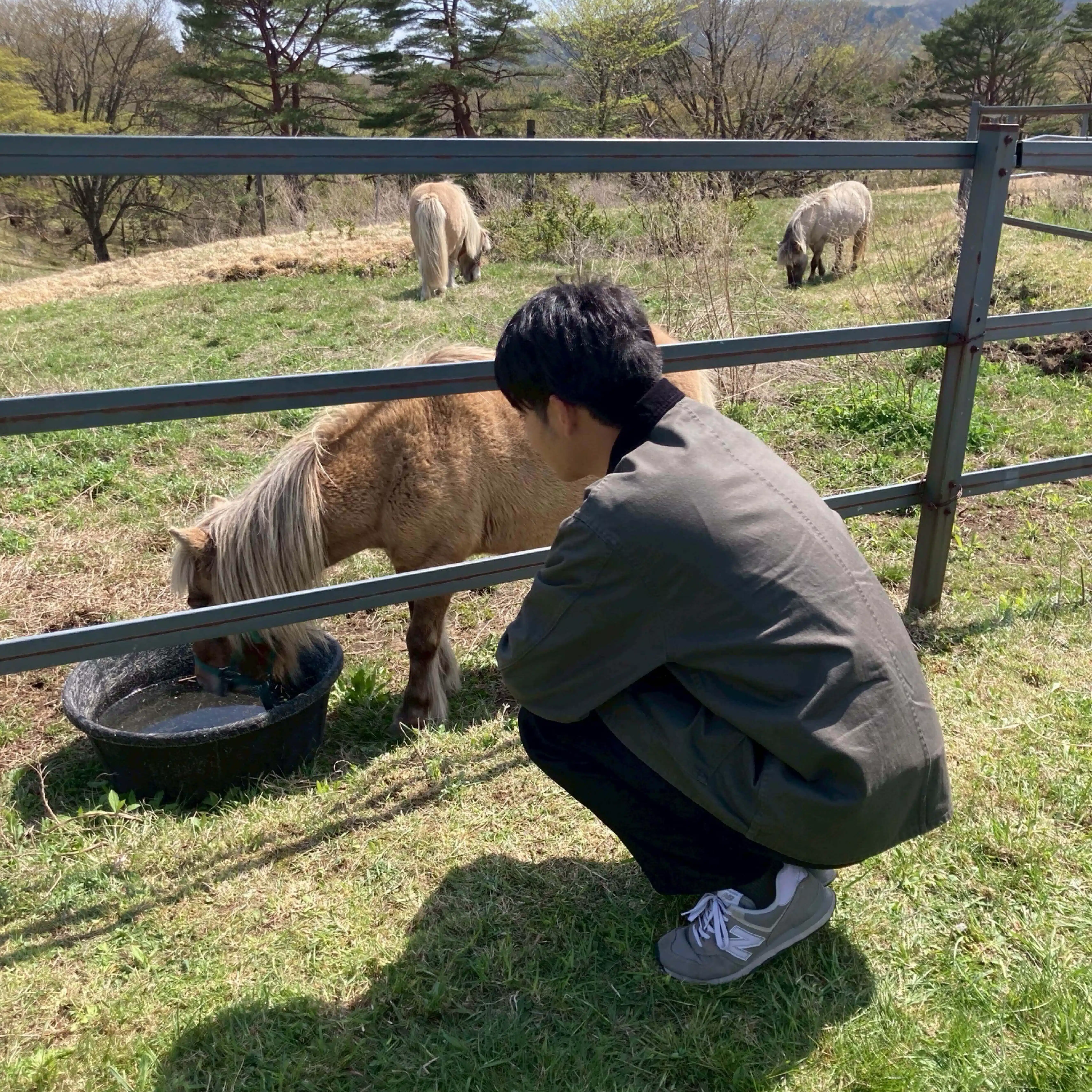 ゆさくハウス