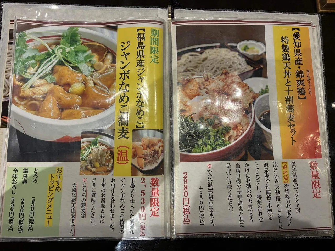 活動歴および当時の関連ビジュアル記録