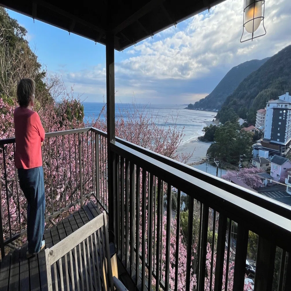 Kiri no Kaori Sakura] A hidden retreat in Izu, beautiful with the