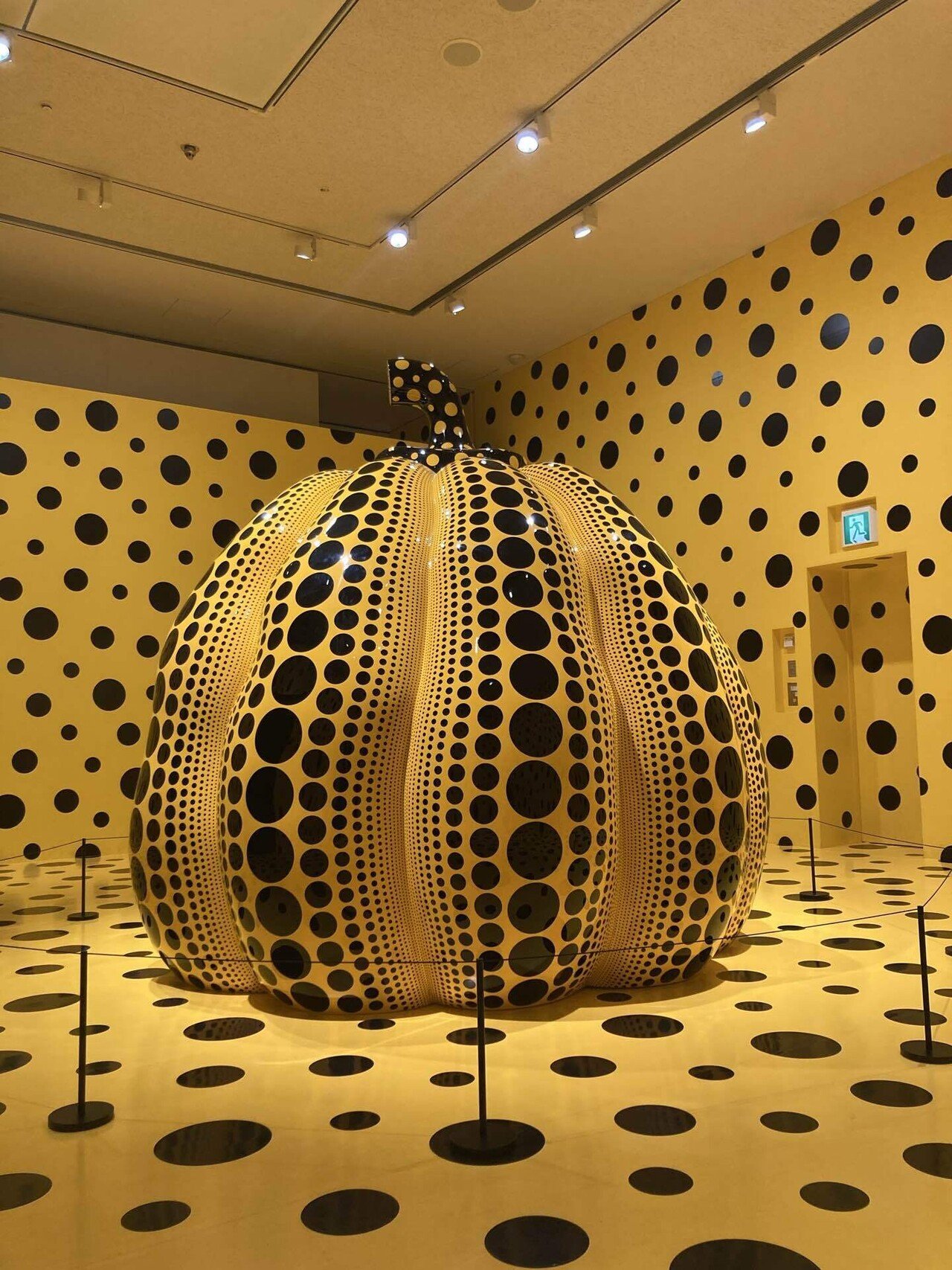 🔴松本市美術館🔴 草間彌生のふるさとで作品世界に入り込む🌷｜しきこ