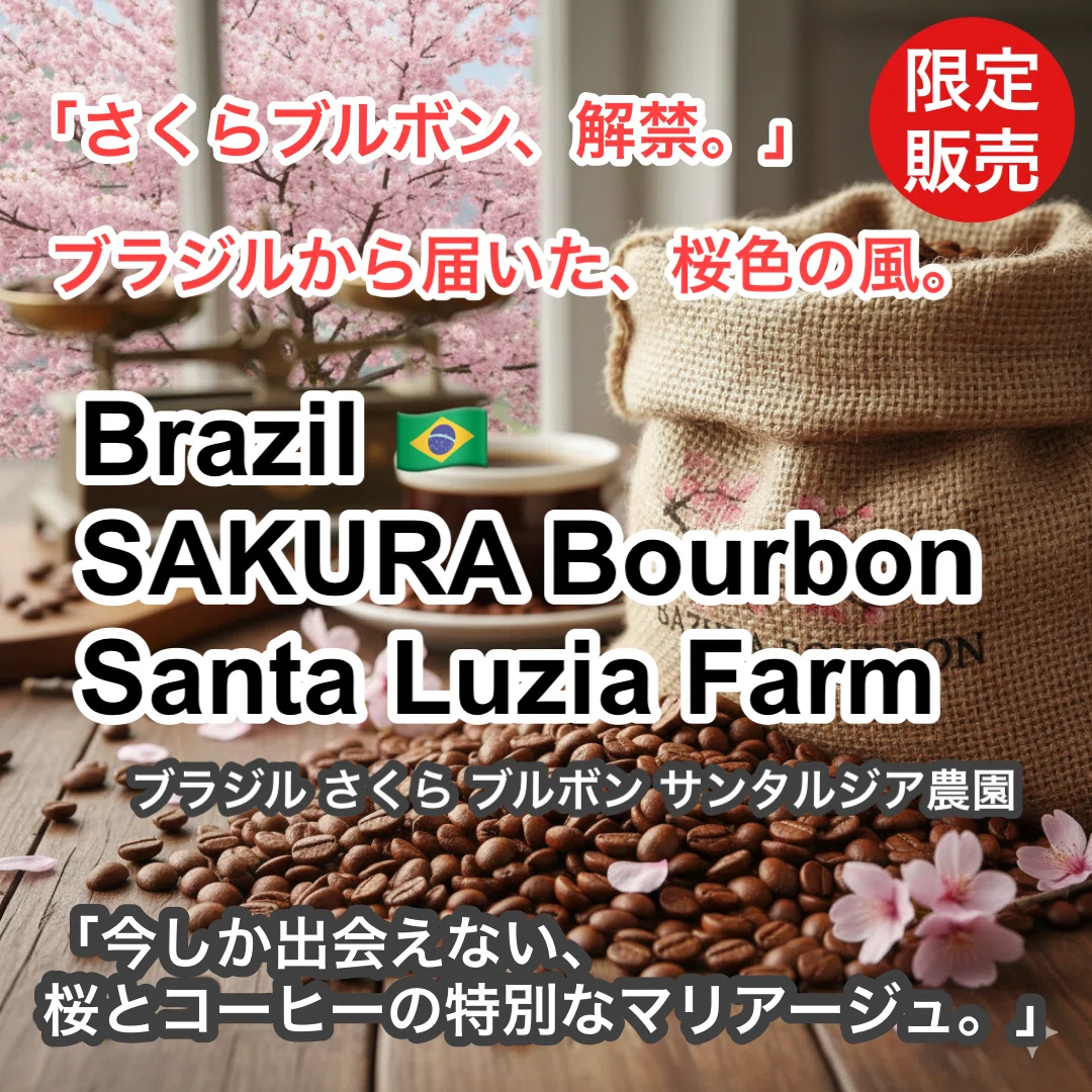 さくらブルボン】間もなく2026年のサクラが咲きます🌸｜P CABIN COFFEE