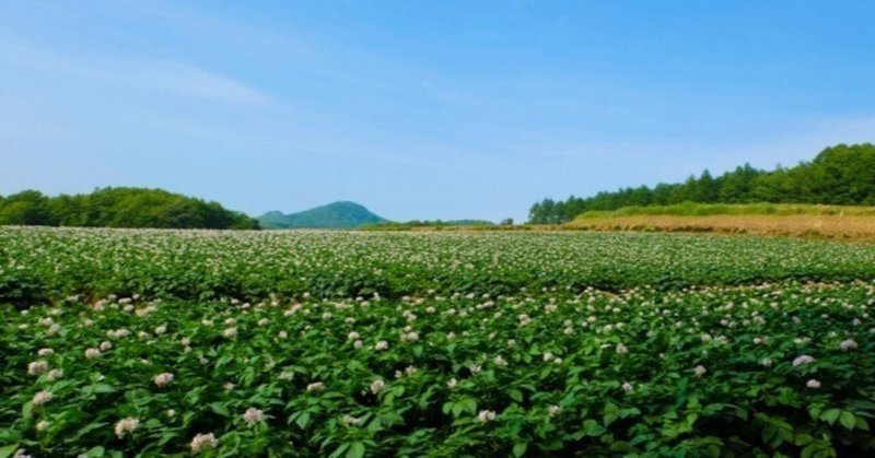 「何がやりたい？」はメンバーをフリーズさせる──キャリア自律を促すために、管理職が最初にすべき問い