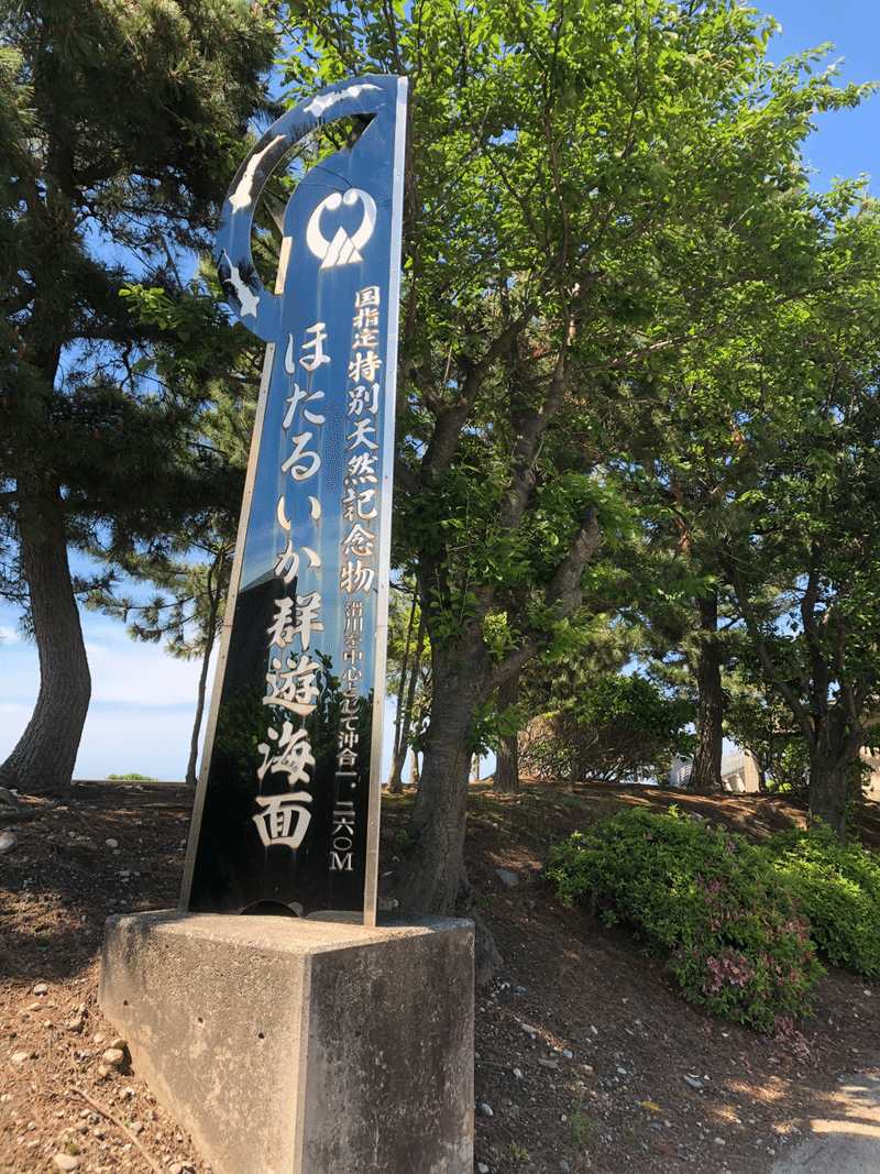 園館等訪問ルポ きときとかがやく 光は観えるか ほたるいかミュージアム 滑川漁港 富山県滑川市 おらんうーたんになりたい Note