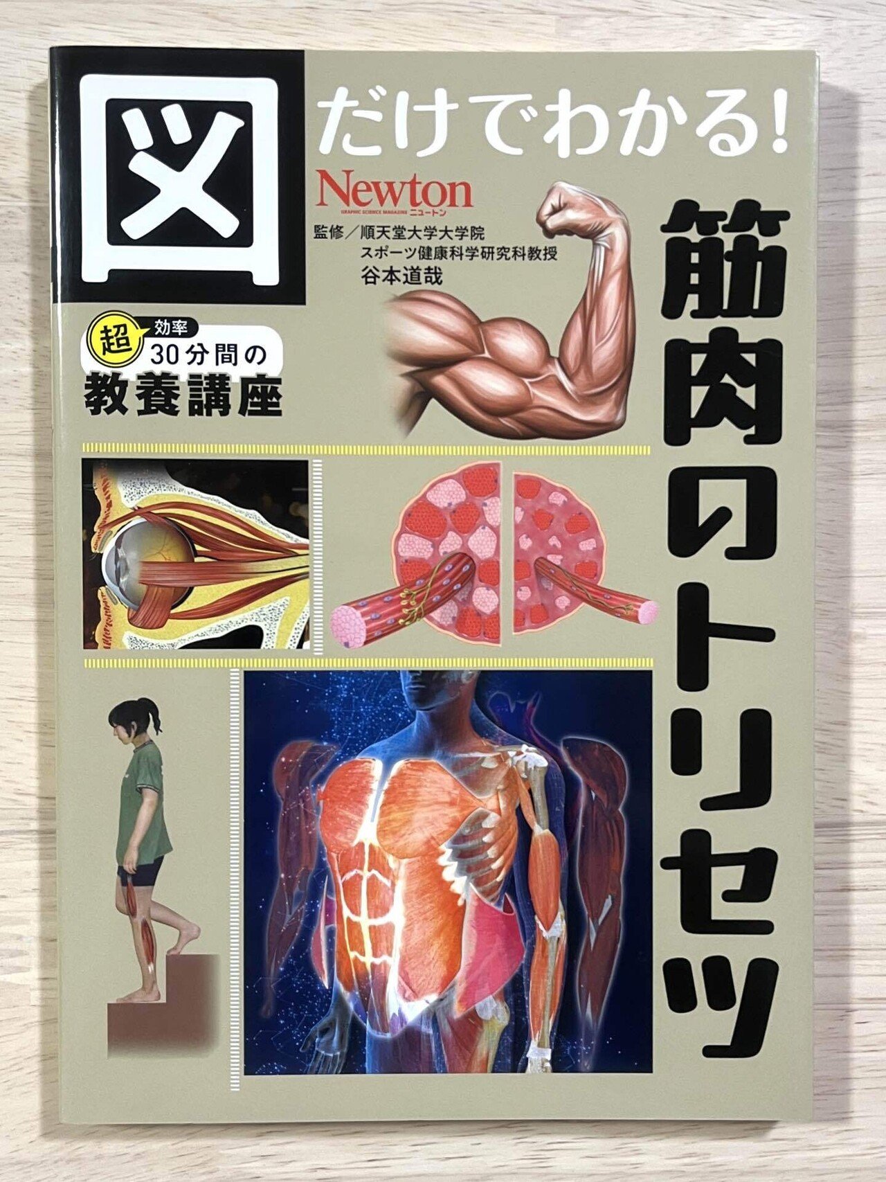 本の紹介】図だけでわかる！ 筋肉のトリセツ｜からだとこころと暮らす棚
