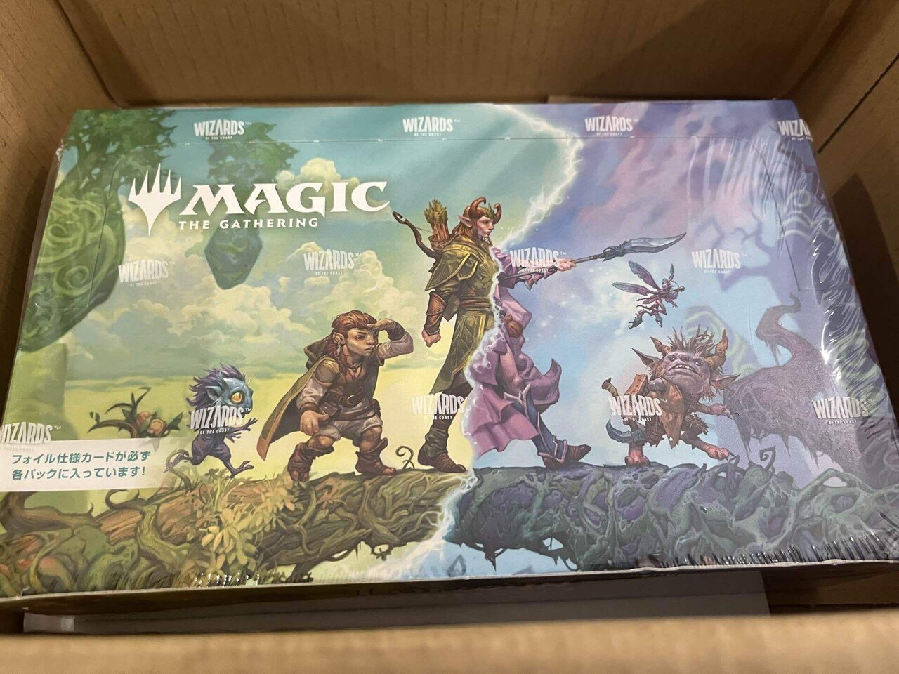 ローウィンの昏明プレリリース！！プレブ開封🎁＆イベント参加｜マルコ