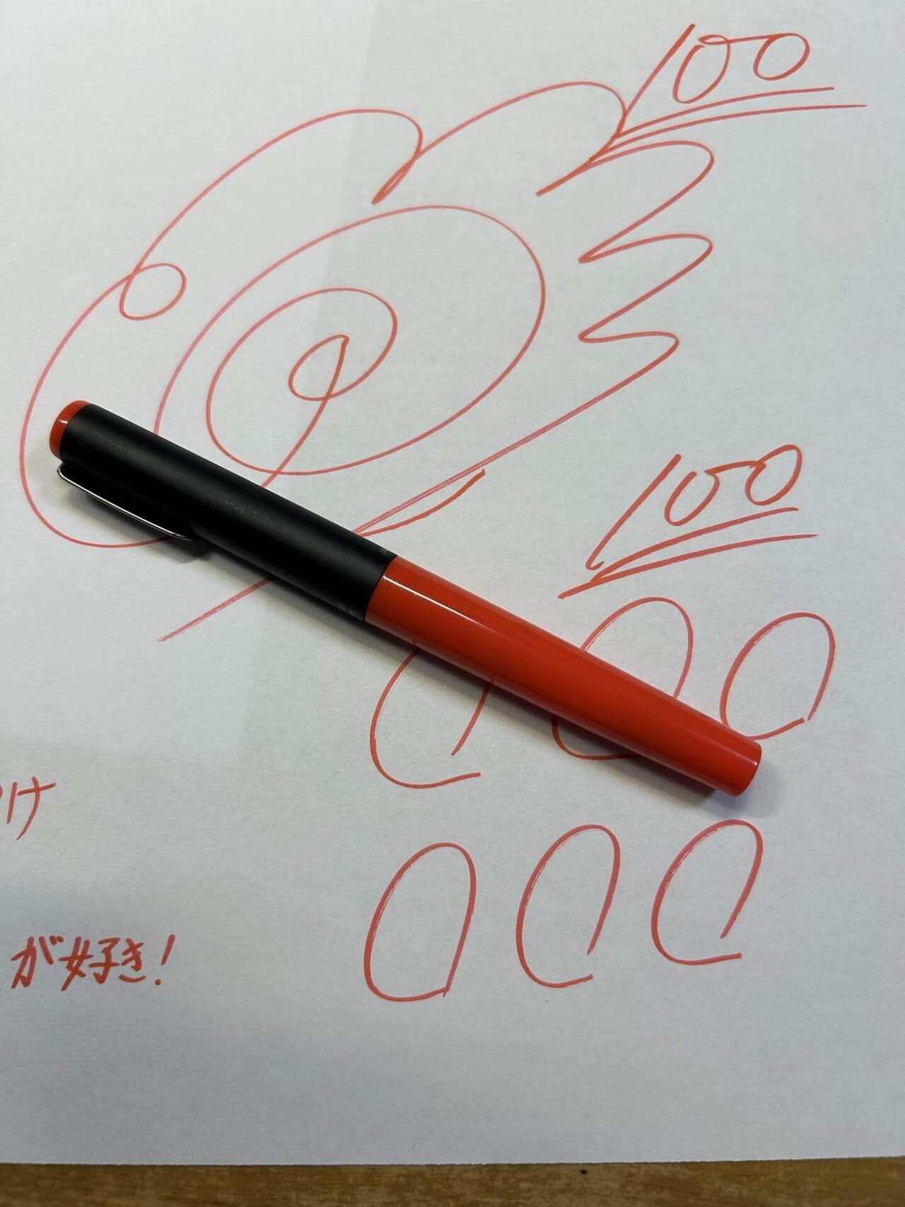 美術品】あの懐かしの先生ペン 旧型プラチナソフトペンの贅沢。｜けい