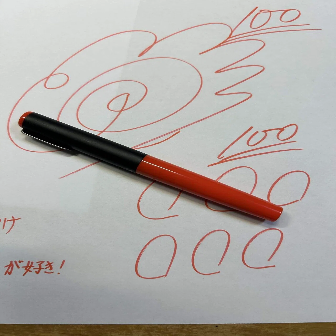 美術品】あの懐かしの先生ペン 旧型プラチナソフトペンの贅沢 