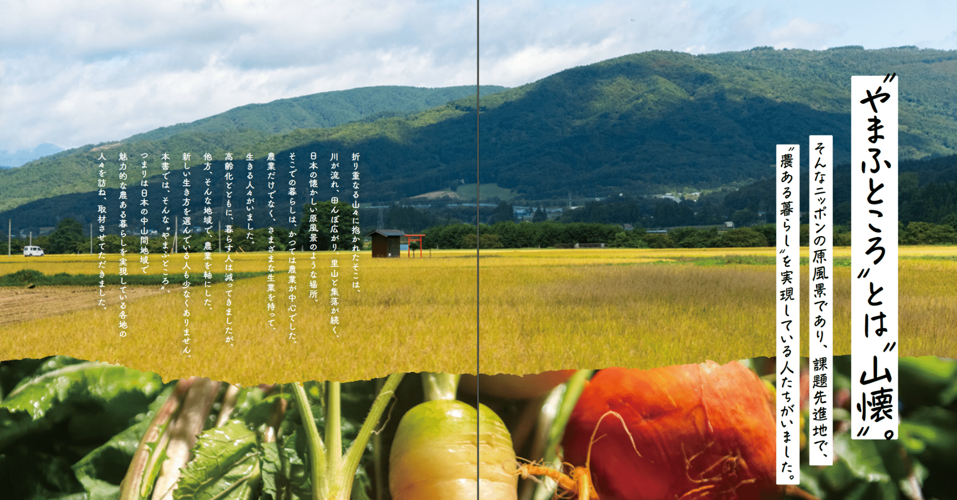 日本の中山間地を3年間かけて巡ってきました。中山間地における農業の