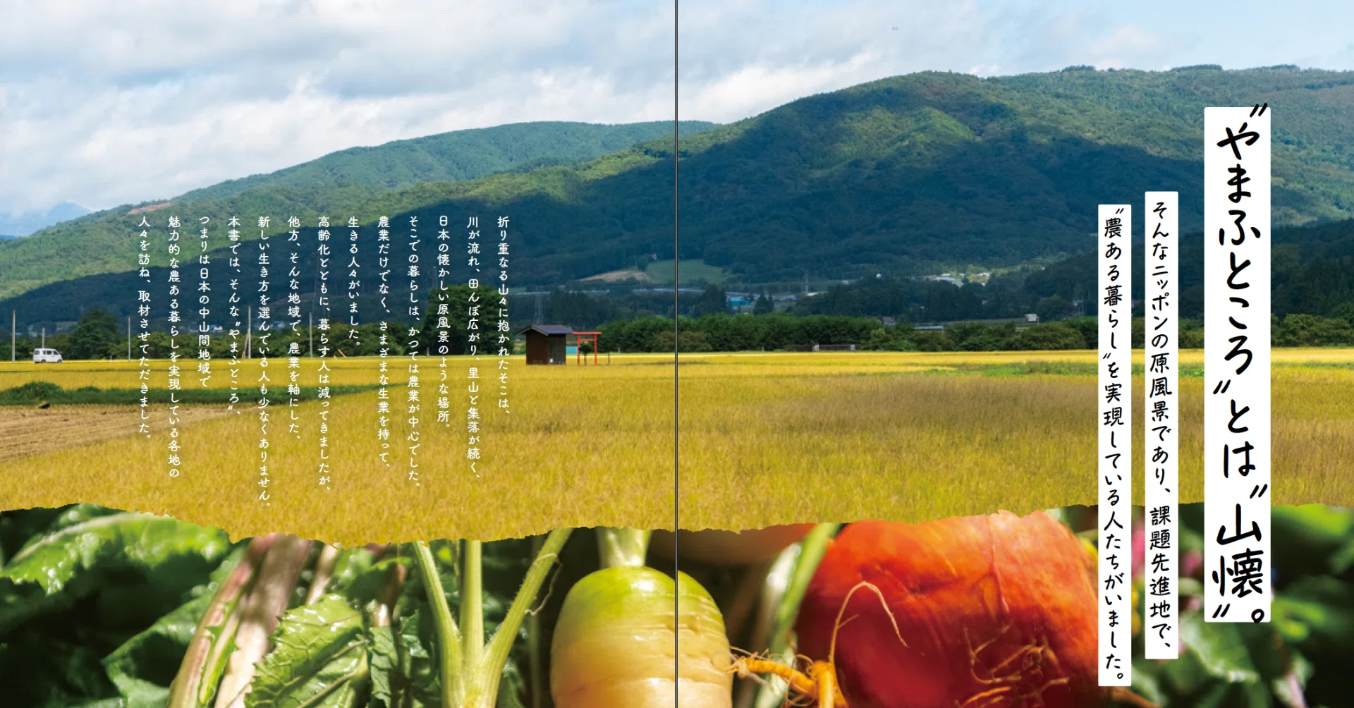日本の中山間地を3年間かけて巡ってきました。中山間地における農業の