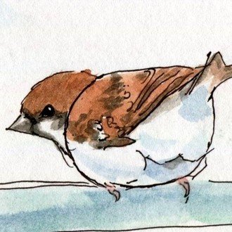 フクロウの羽根をいただきました Hitaki Note フクロウの羽根をいただきました Hitaki Note