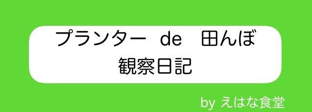 マガジンのカバー画像