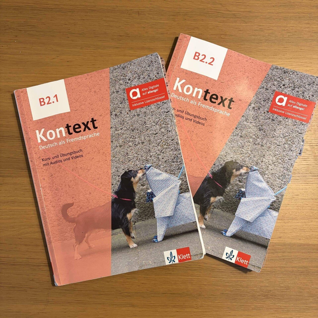 ドイツ語学習、ここまでの道のり｜A1〜B2半ば｜kee｜ドイツでの暮らし