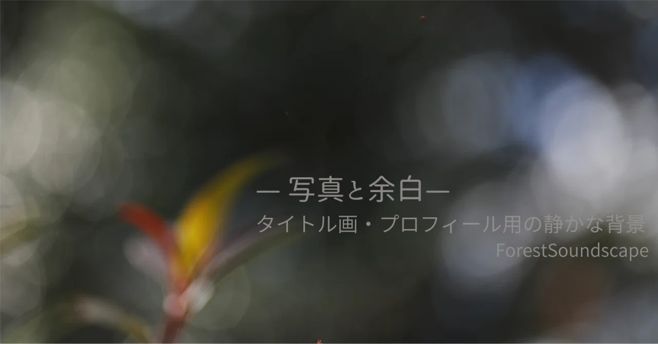 見出し画像