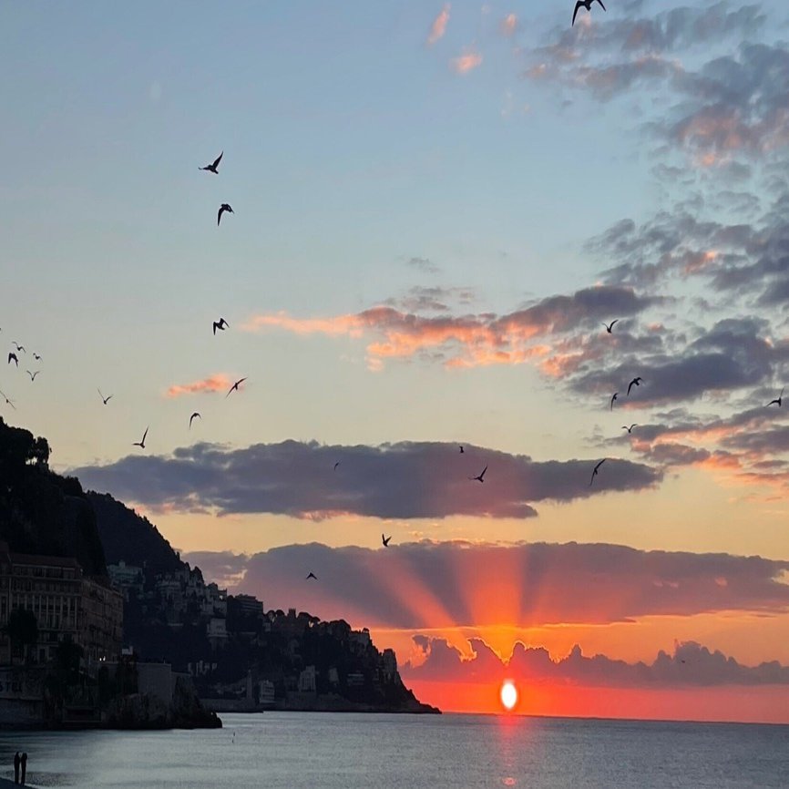 冬のニース、2026年の初日の出🌅｜ココビス。