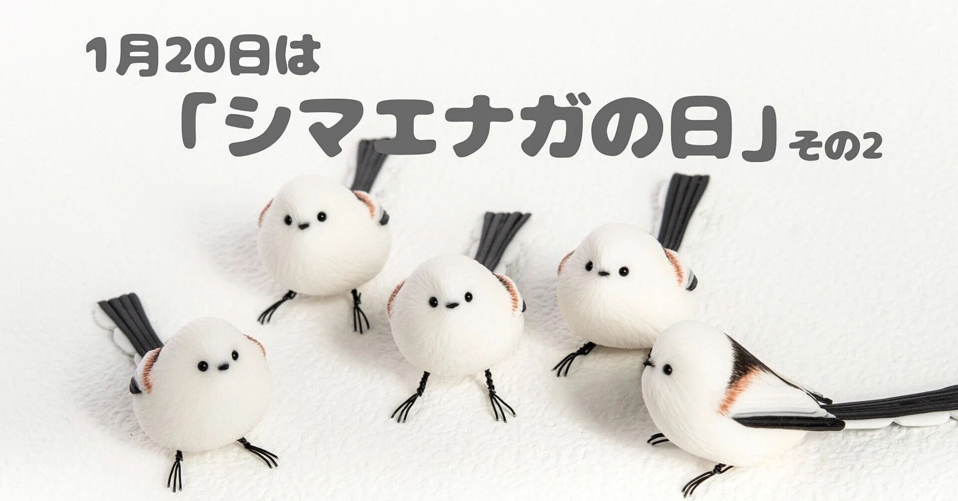 1月20日の「シマエナガの日」に向けて その2｜orange.sky シマエナガと
