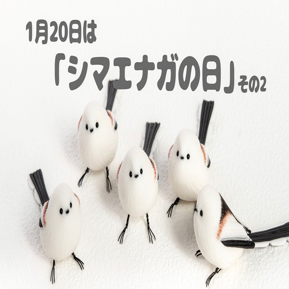 1月20日の「シマエナガの日」に向けて その2｜orange.sky シマエナガと