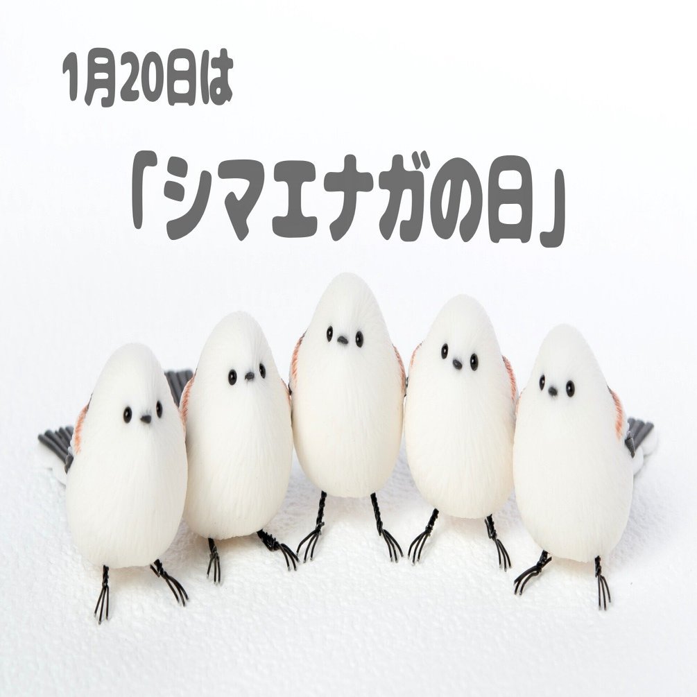 1月20日の「シマエナガの日」に向けて｜orange.sky シマエナガとその仲間達